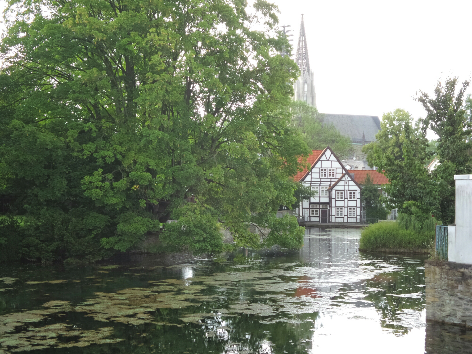 2014-06-15 16.27.07.jpg image