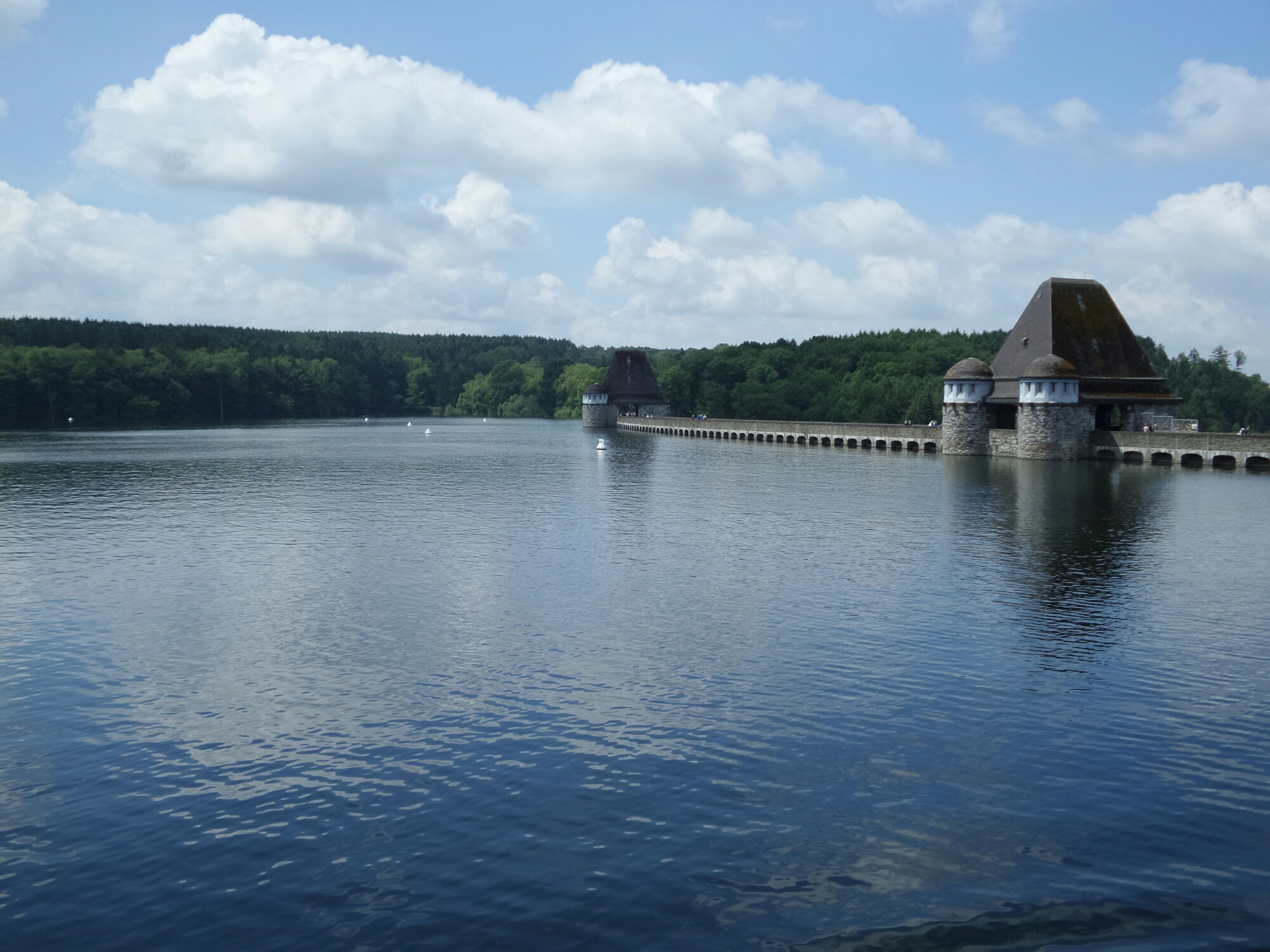 20140615_130518.jpg image