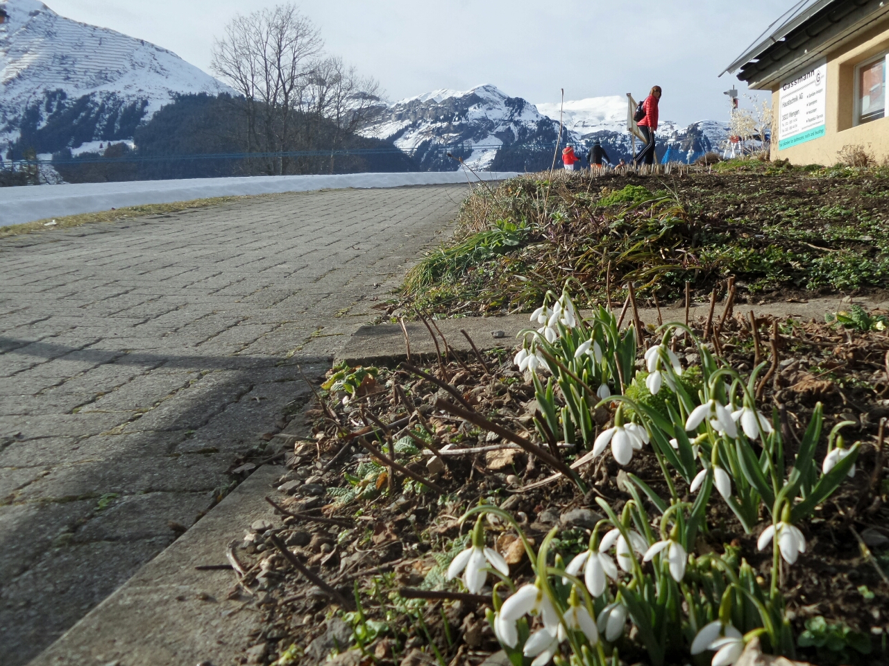2016-02-01 15.49.59.jpg image