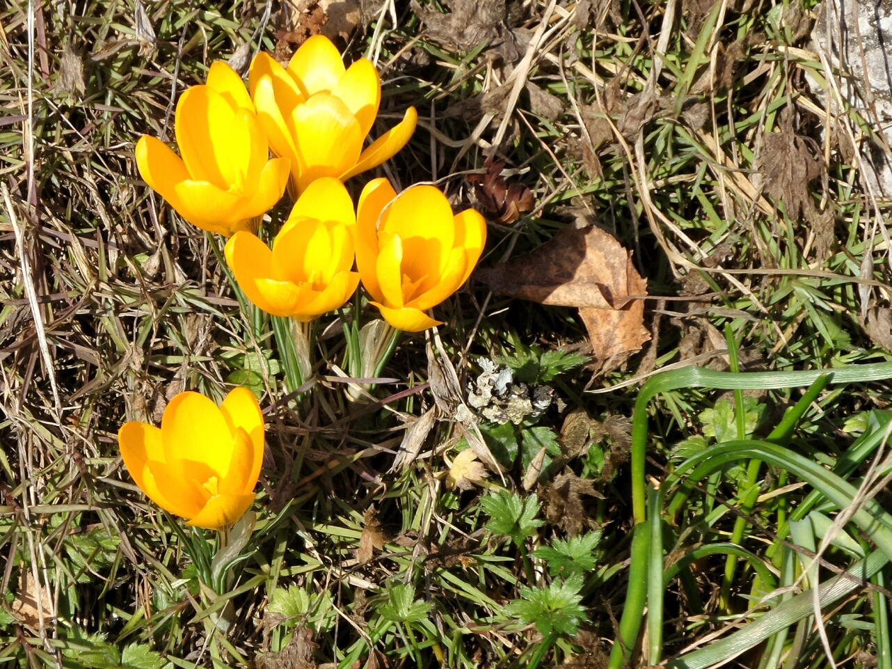 2016-03-14 16.50.50.jpg image